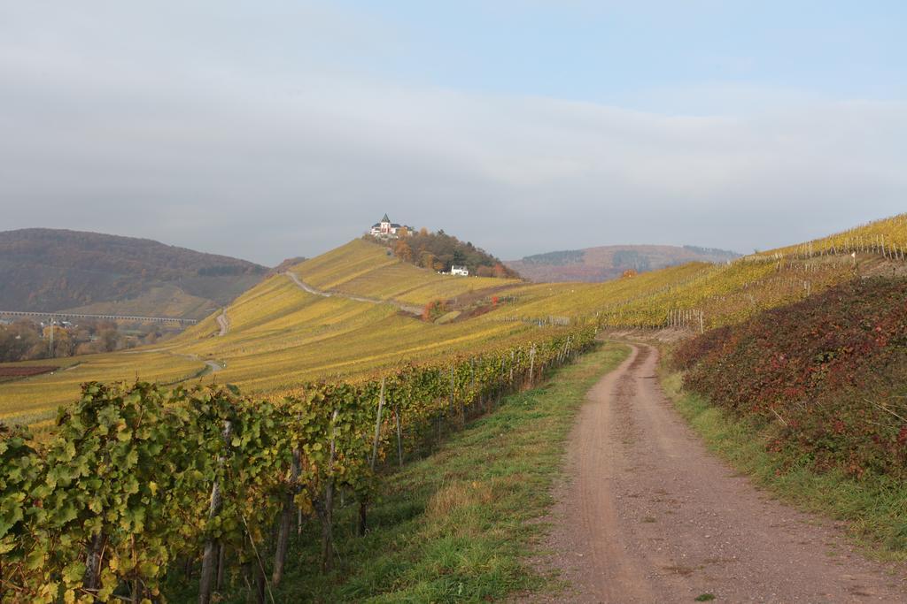 Weingut Pension Gibbert-Pohl ブリーデル エクステリア 写真