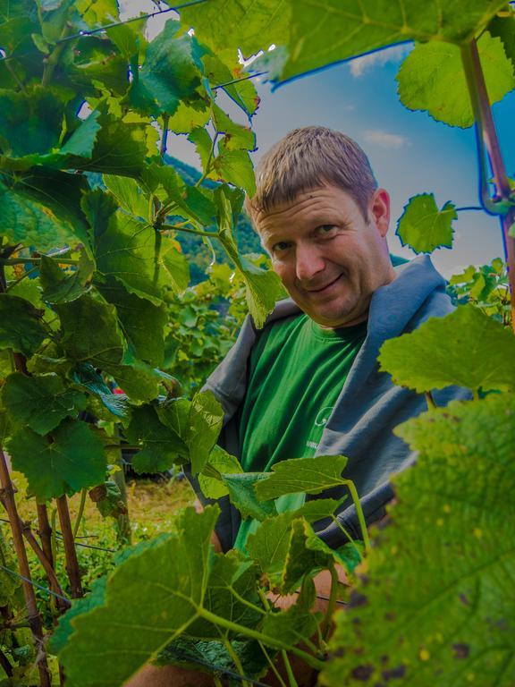 Weingut Pension Gibbert-Pohl ブリーデル エクステリア 写真