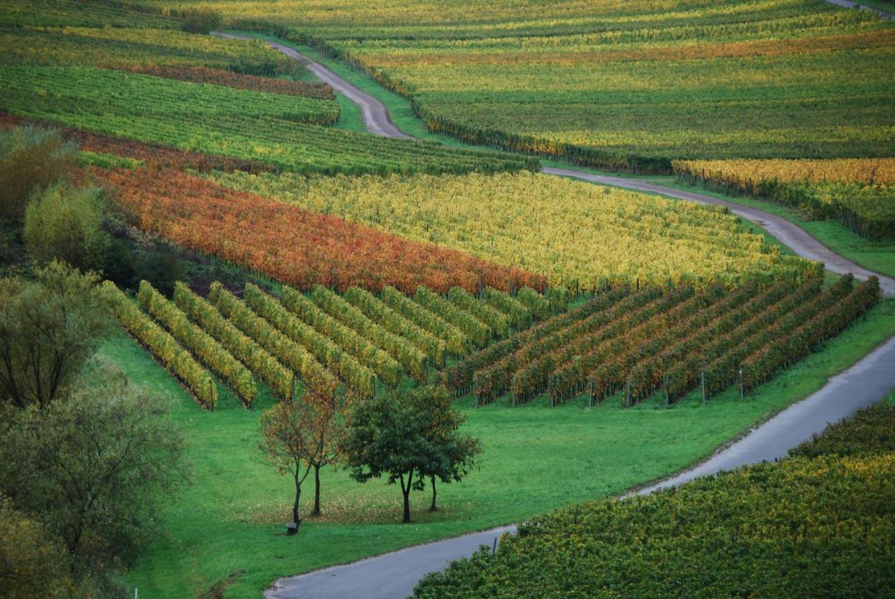 Weingut Pension Gibbert-Pohl ブリーデル エクステリア 写真