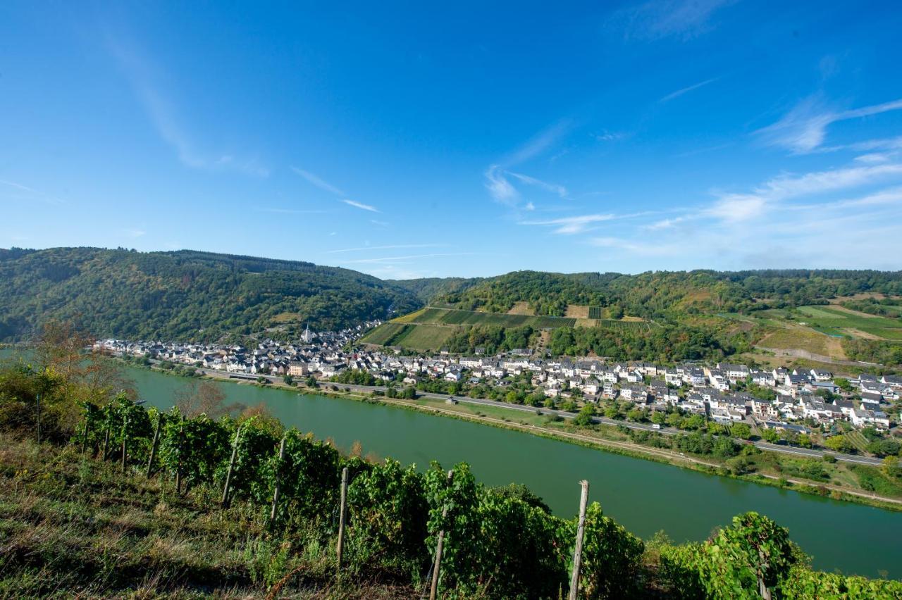 Weingut Pension Gibbert-Pohl ブリーデル エクステリア 写真
