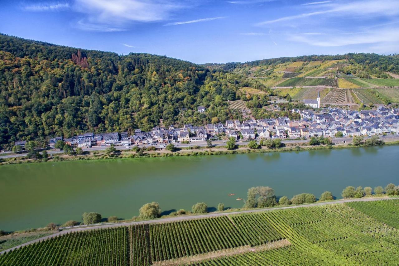 Weingut Pension Gibbert-Pohl ブリーデル エクステリア 写真